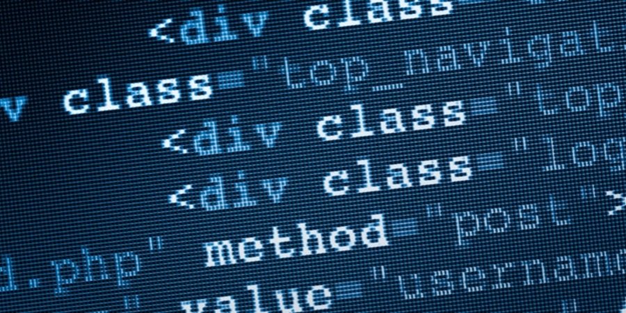 Job focus: IT specialists